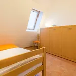Osrodek Wczasowy Coral Nad Morzem *
