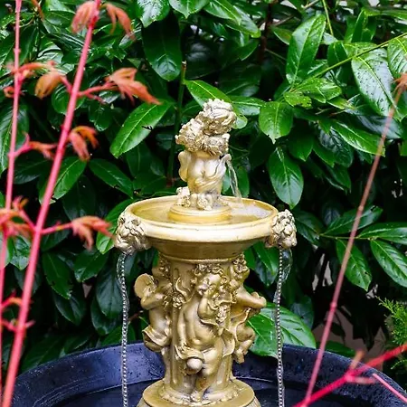 Osrodek Wczasowy Coral Nad Morzem ビチェ