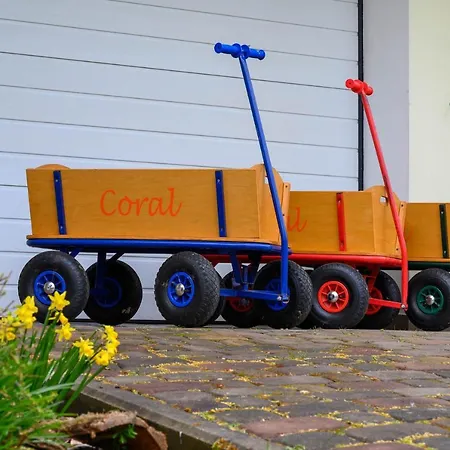 Osrodek Wczasowy Coral Nad Morzem ビチェ