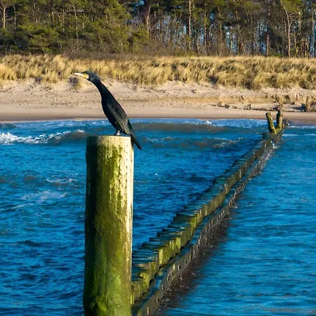 Osrodek Wczasowy Coral Nad Morzem *