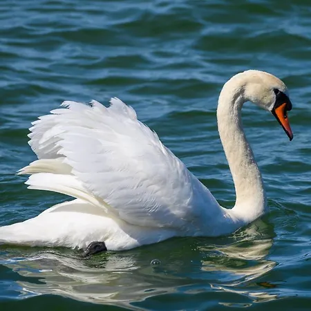 Osrodek Wczasowy Coral Nad Morzem ホームステイ *